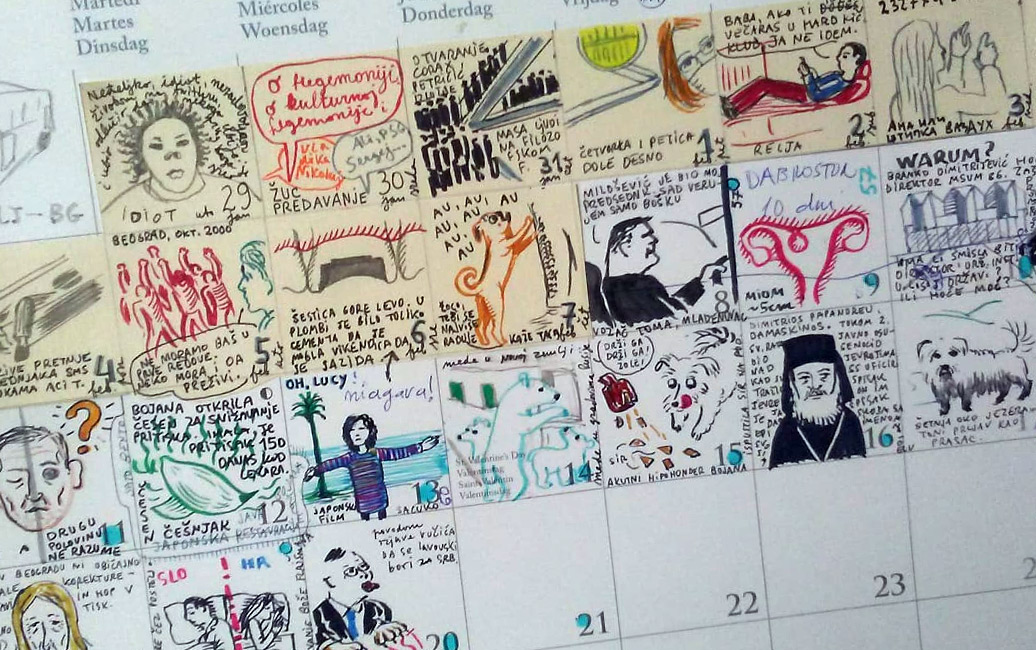 daily picture project